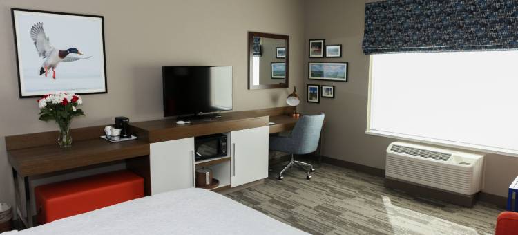 拉斐特医疗中心欢朋套房酒店(Hampton Inn and Suites Lafayette Medical Center)图片