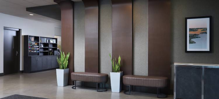 郁金香酒店 - 希尔顿启缤精选酒店(Tulyp, Tapestry Collection by Hilton)图片