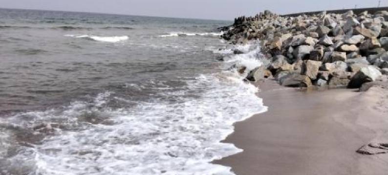 Apartament Kasztanowy图片