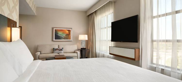 迈克艾伦会议中心希尔顿安泊酒店(Embassy Suites by Hilton McAllen Convention Center)图片