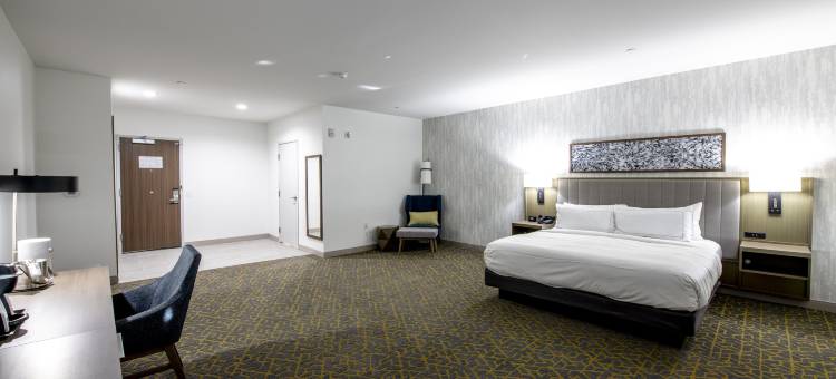 萨尔弗查尔斯湖希尔顿逸林酒店及度假村(Doubletree by Hilton Sulphur Lake Charles)图片