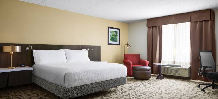 沃威克普罗维登斯机场希尔顿花园酒店(Hilton Garden Inn Providence Airport/Warwick)图片