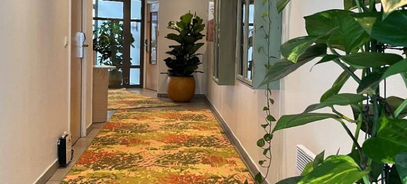 塞祖尔阿菲尔巴黎马拉科夫酒店(Séjours & Affaires Paris-Malakoff)图片