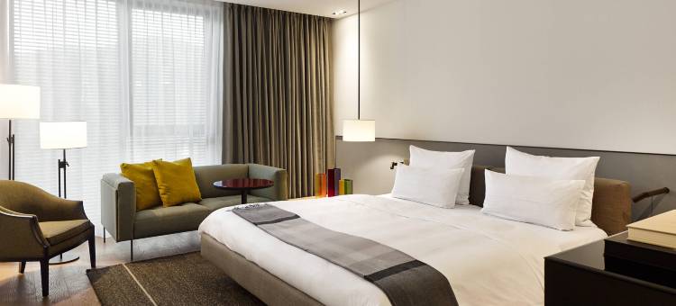 伦梅斯巴登酒店-傲途格精选(Roomers Baden-Baden, Autograph Collection)图片