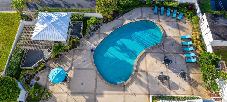 坦帕机场西岸希尔顿酒店(Hilton Tampa Airport Westshore)图片