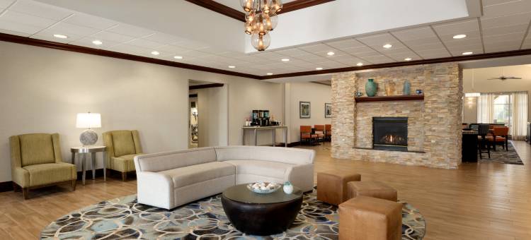 希尔顿旗下杜勒斯北-劳登家园套房酒店(Homewood Suites by Hilton District of Columbia - Dulles-North/Loudoun)图片