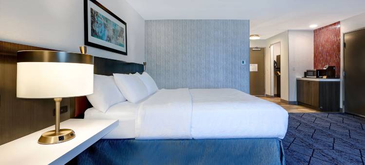 爱荷华锡达拉皮兹希尔顿花园酒店(Hilton Garden Inn Cedar Rapids)图片