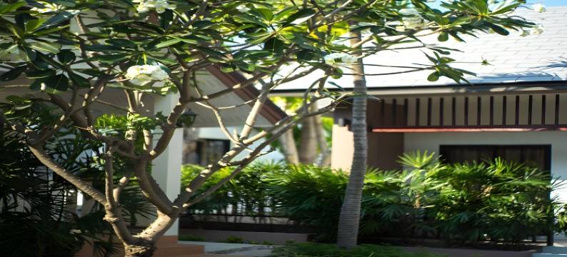 隐居酒店(The Hermitage)图片