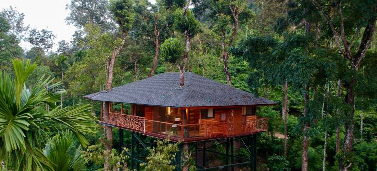 宁静度假村 - BluSalzz精选，瓦亚纳德(Tranquil Resort – BluSalzz Collection, Wayanad – Kerala)图片