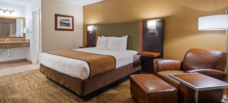 迪斯卡弗里王国贝斯特韦斯特酒店(Best Western Discovery Inn)图片