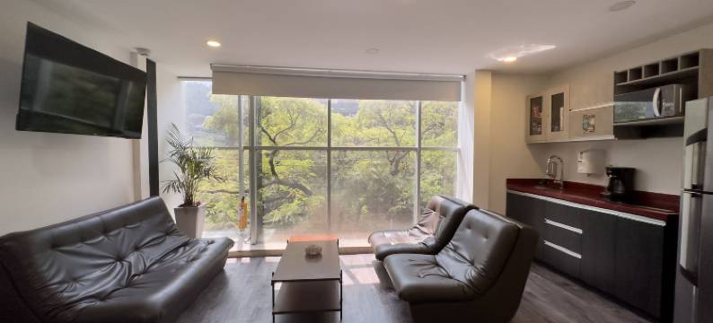 普旺萨阁楼酒店(Provenza Lofts)图片