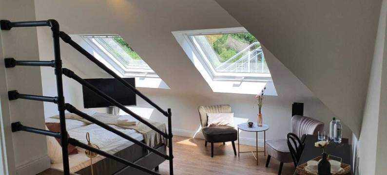 贵族酒店别墅霍尔巴赫(Boutique Hotel Villa Horbach)图片