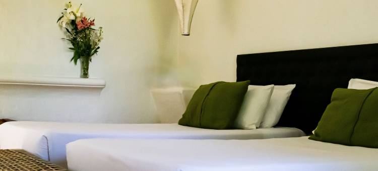 博酒店及水疗中心奇科阿纳萨尔塔(Bo Hotel & Spa Chicoana Salta)图片
