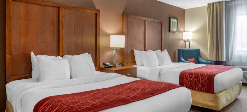 劳伦斯堡舒适酒店(Comfort Inn & Suites)图片