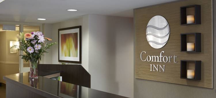 舒适酒店(Comfort Inn)图片