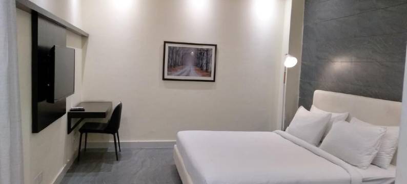 莫汉郁金香酒店(Mohan Tulip Hotel)图片