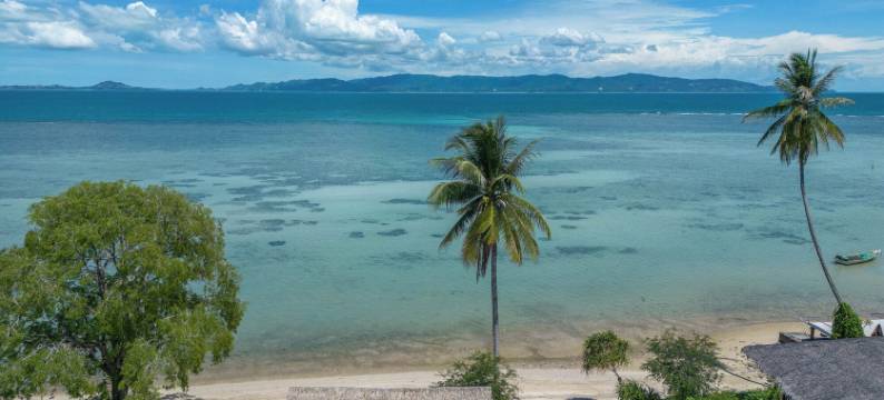 Absolute海滨度假村(Absolute Beachfront Resort)图片