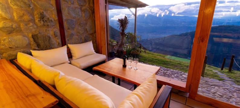 梦中的雪松(El Cedro SOÑADO)图片