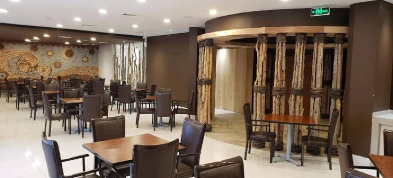 迭戈·德·阿尔马格罗卡斯特罗酒店(Hotel Diego de Almagro Castro)图片