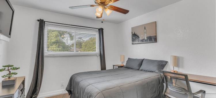 热带天堂(Tropical Paradise)图片