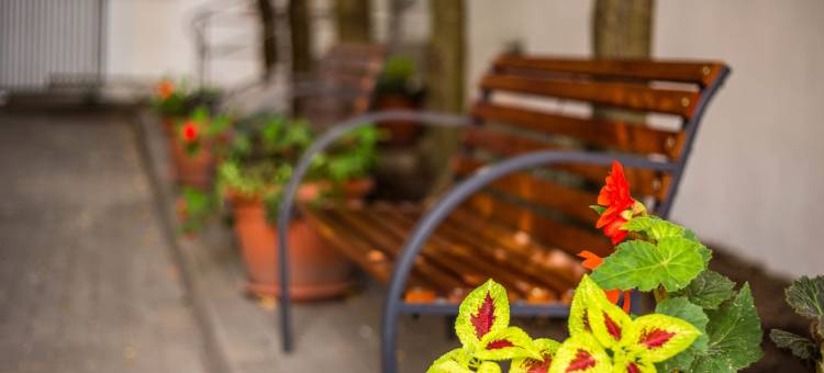 古韵酒店(Ringhotel Altstadt)图片