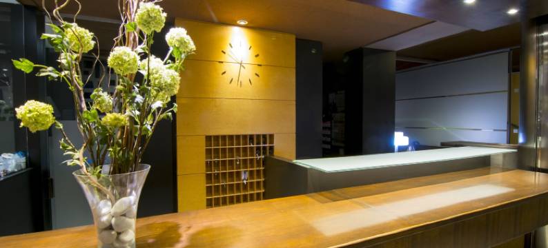 亚美利卡酒店(Hotel America Igualada)图片