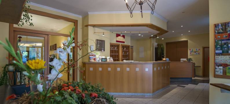 弗雷登兰迪伊尔酒店(Landidyll Hotel Zum Freden)图片