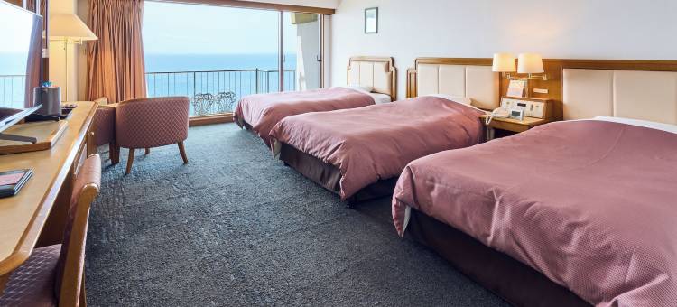 志布志湾大黑度假村酒店(Shibushiwan Daikoku Resort Hotel)图片