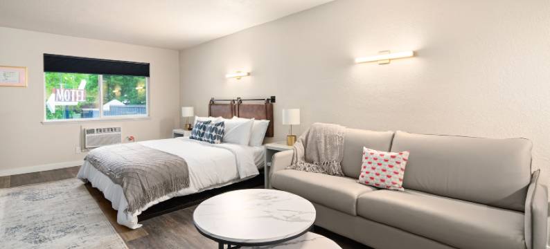 麦考伊酒店克利奇站- 艺术、饮品、泳池社交(Hotel McCoy - Art, Libations, Pool Society)图片