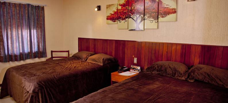 洛斯安第斯夸察夸尔科斯酒店(Los Andes Coatzacoalcos)图片