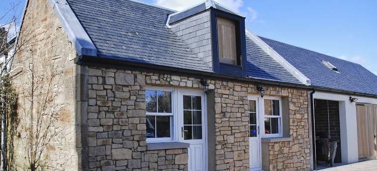 米勒之家(Miller House Courtyard)图片