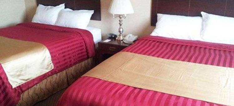 城市中心伊康旅馆(Econo Lodge City Centre)图片