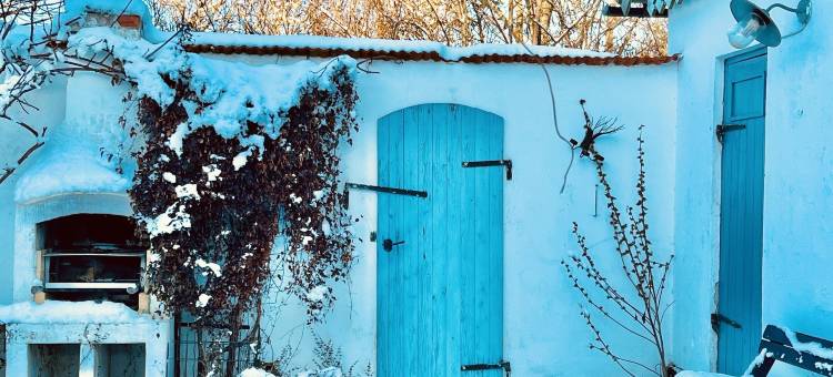 南海岸的Tullnäs葡萄园(Sydkustens at Tullnäs)图片