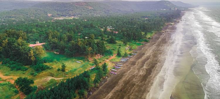 莲花生态海滩度假村Dapoli Murud(Lotus an Eco Beach Resort Dapoli Murud)图片