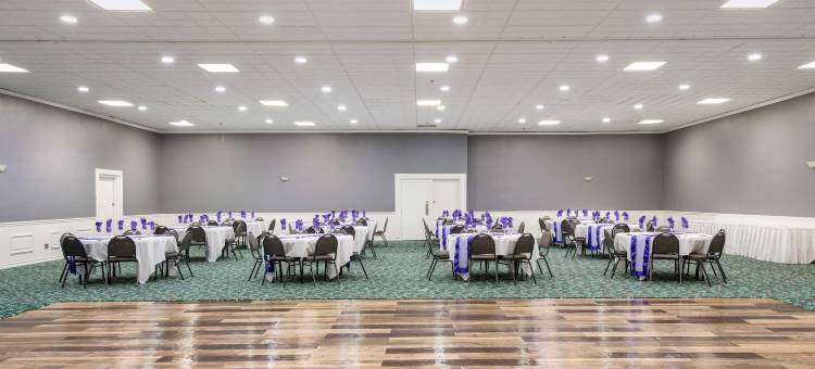 珍珠在孔乔(Pearl on the Concho)图片