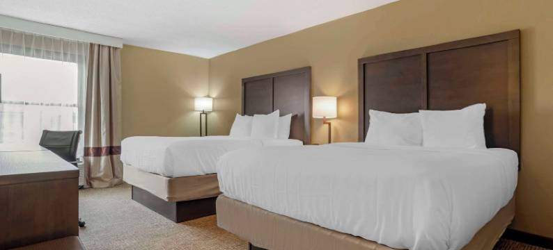 欧佩莱卡-奥本舒适酒店(Comfort Inn Opelika - Auburn)图片