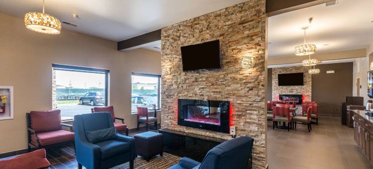 北奥罗拉-内珀维尔舒适套房酒店(Comfort Inn & Suites North Aurora - Naperville)图片