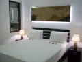 園景高級雙人房