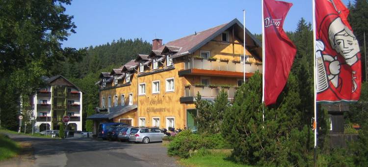 拉登明勒酒店(Hotel Ladenmühle)图片