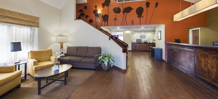 北查尔斯顿阿什利弗斯菲特舒眠酒店(Sleep Inn North Charleston Ashley Phosphate)图片