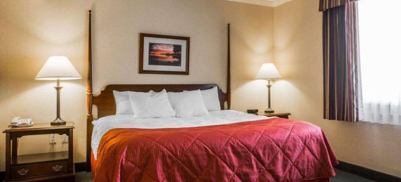 克拉丽奥套房酒店(乔治湖奥特莱斯)(Clarion Inn & Suites at the Outlets of Lake George)图片