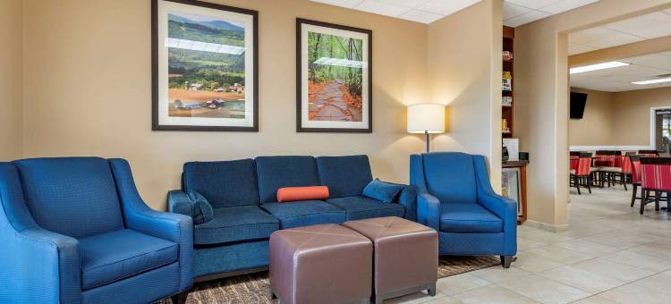 巴恩斯维尔-弗拉克维尔舒适套房酒店(Comfort Inn & Suites Barnesville - Frackville)图片