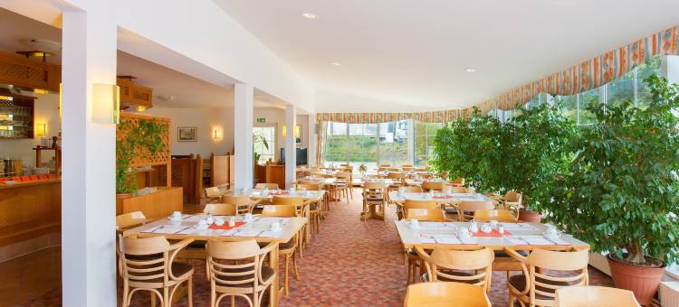 朗恩诺摩塔纳酒店(Hotel Montana Lauenau)图片