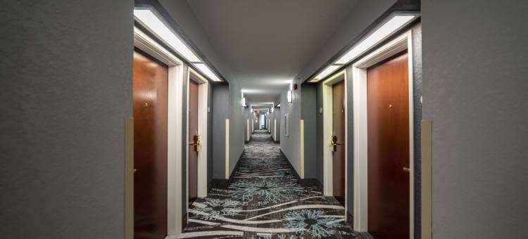 阿卡德尔菲亚/卡多瓦利温德姆呗盟酒店(Baymont by Wyndham Caddo Valley/Arkadelphia)图片