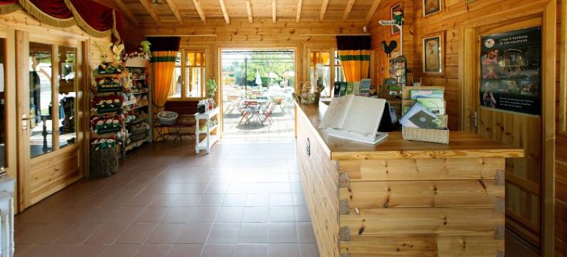 乐村德斯莫内迪尔瑞斯假日公园(Le Village des Monédières)图片