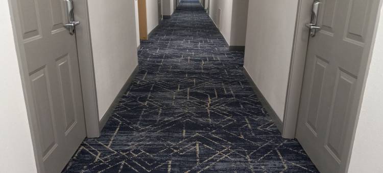 舒适酒店(Comfort Inn)图片