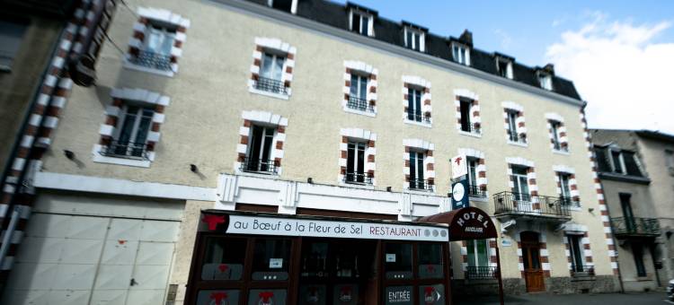 舒适阿克莱尔盖雷英式酒店(Brit Hotel Confort Auclair)图片