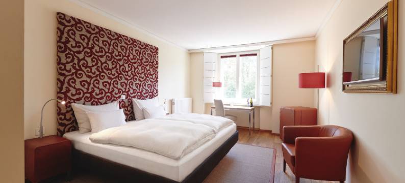 达斯维泽酒店(Hotel Weitzer Graz)图片