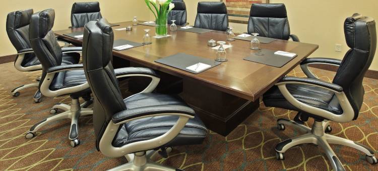 Holiday Inn 小石城机场- CONF的点击率(Holiday Inn Little Rock-Airport-Conf Ctr)图片