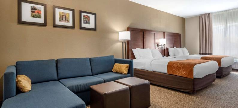 奥本I-69附近舒适套房酒店(Comfort Suites Auburn Near I-69)图片